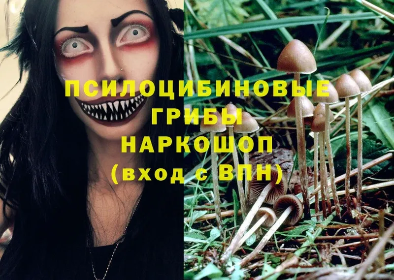 Галлюциногенные грибы MAGIC MUSHROOMS Александров